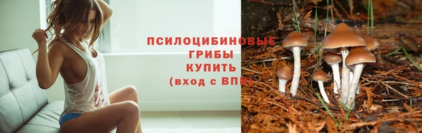 МДМА Няндома